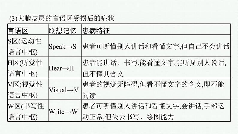 人教版高中生物选择性必修一人脑的高级功能课件07