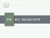 人教版高中生物选择性必修一神经冲动的产生和传导课件