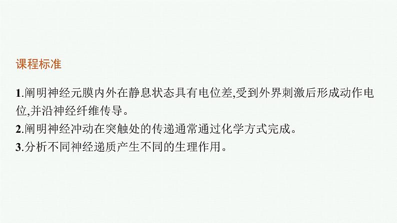 人教版高中生物选择性必修一神经冲动的产生和传导课件第3页