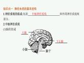 人教版高中生物选择性必修一神经调节的结构基础课件
