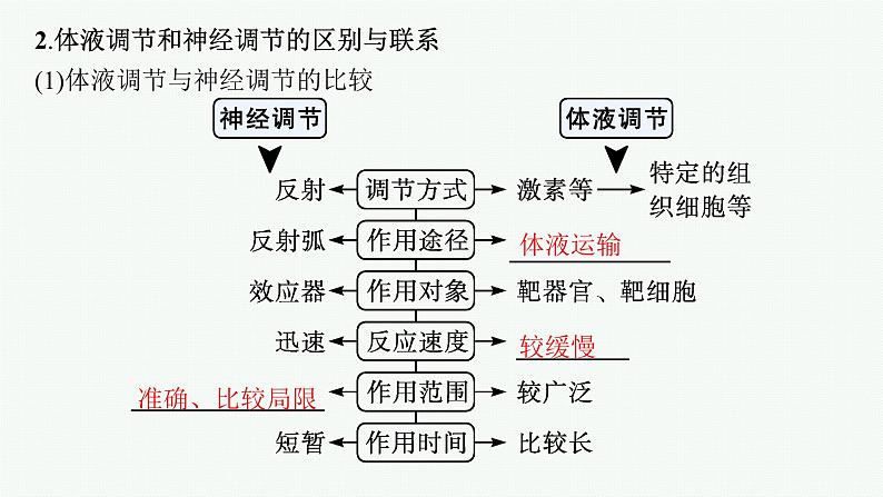 人教版高中生物选择性必修一体液调节与神经调节的关系课件第6页