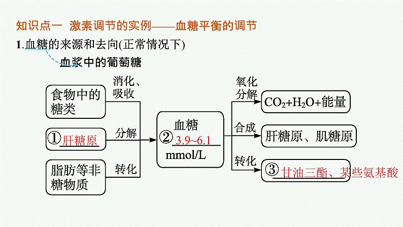 人教版高中生物选择性必修一激素调节的过程课件05