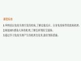 人教版高中生物选择性必修一免疫失调课件