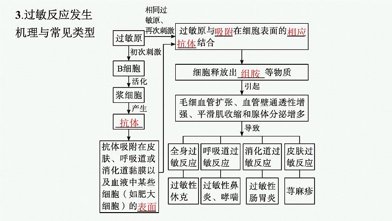 人教版高中生物选择性必修一免疫失调课件06