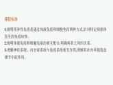 人教版高中生物选择性必修一特异性免疫课件