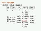 人教版高中生物选择性必修一其他植物激素课件