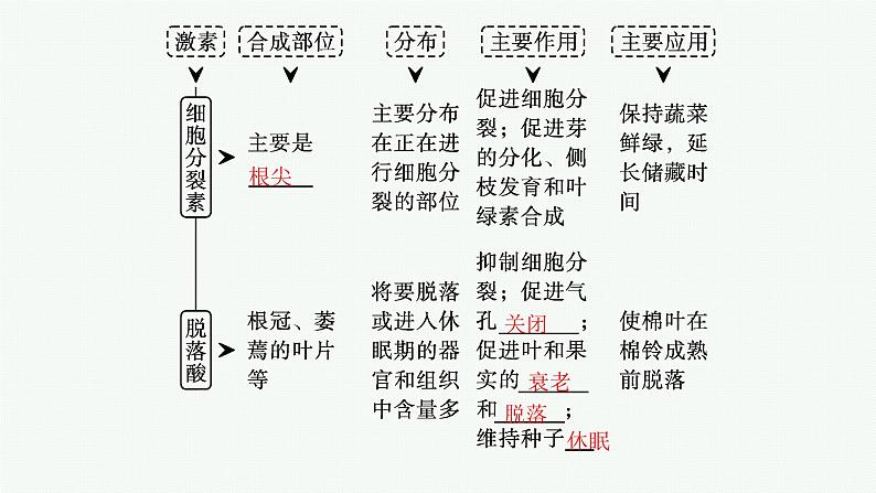 人教版高中生物选择性必修一其他植物激素课件第6页