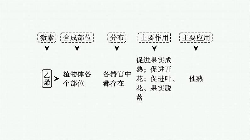 人教版高中生物选择性必修一其他植物激素课件第7页