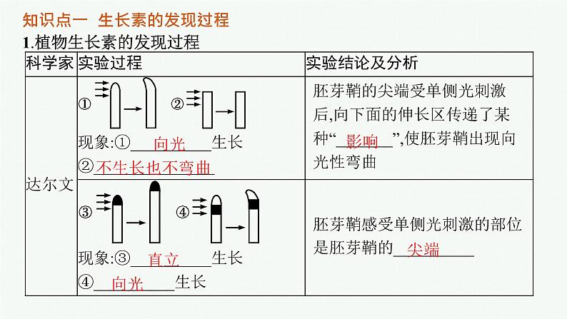 人教版高中生物选择性必修一植物生长素课件第5页