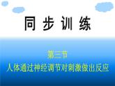 浙科版(2019)高中生物选择性必修1人体通过神经调节对刺激做出反应课件