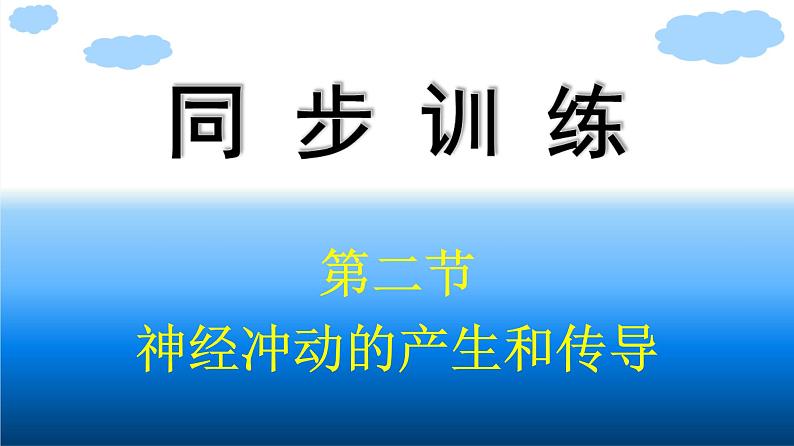 浙科版(2019)高中生物选择性必修1神经冲动的产生和传导课件01