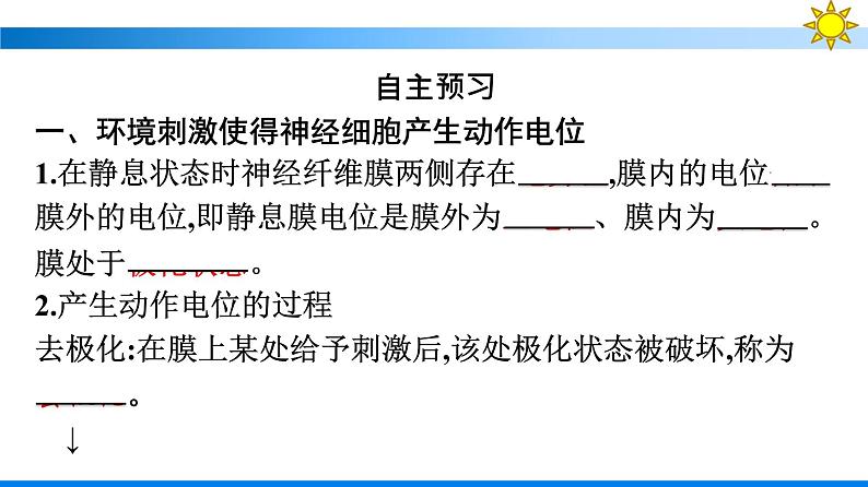 浙科版(2019)高中生物选择性必修1神经冲动的产生和传导课件07