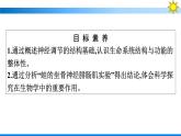 浙科版(2019)高中生物选择性必修1神经系统是神经调节的结构基础课件