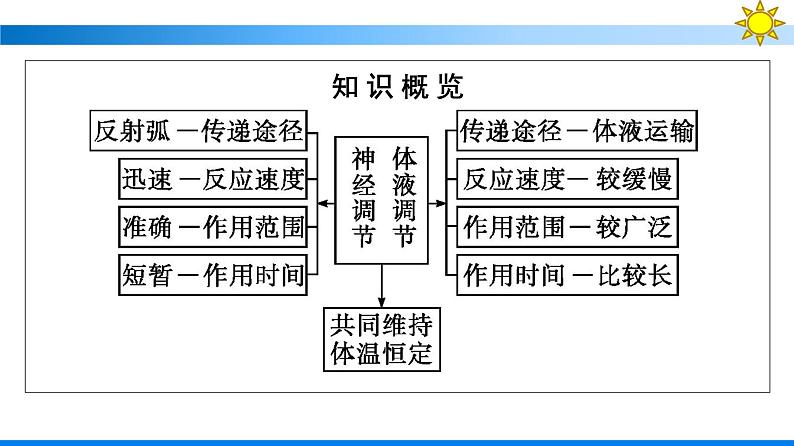 浙科版(2019)高中生物选择性必修1体液调节与神经调节共同维持机体的稳态课件05