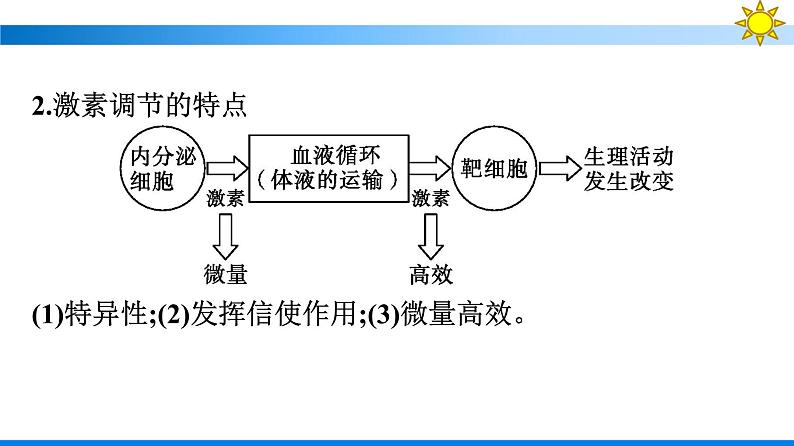 浙科版(2019)高中生物选择性必修1体液调节与神经调节共同维持机体的稳态课件08