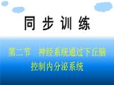 浙科版(2019)高中生物选择性必修1神经系统通过下丘脑控制内分泌系统课件