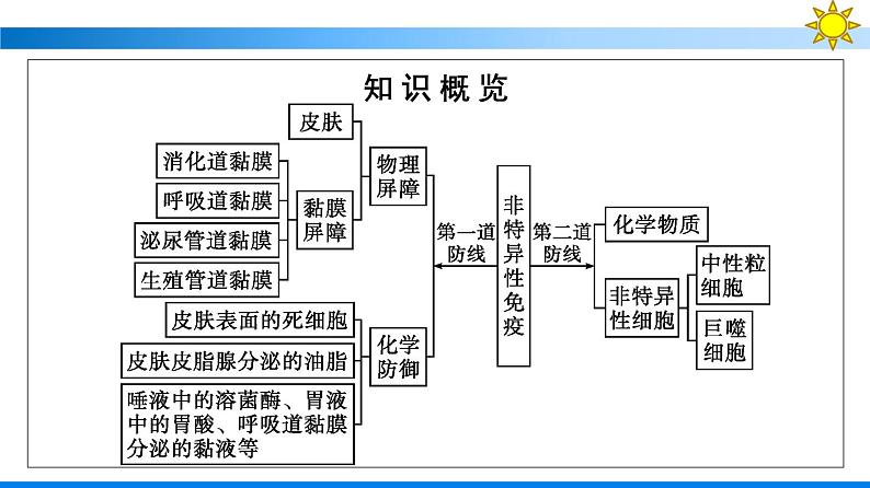 浙科版(2019)高中生物选择性必修1人体通过非特异性免疫对抗病原体课件05