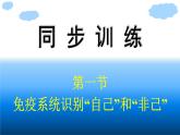 浙科版(2019)高中生物选择性必修1免疫系统识别“自己”和“非己”课件