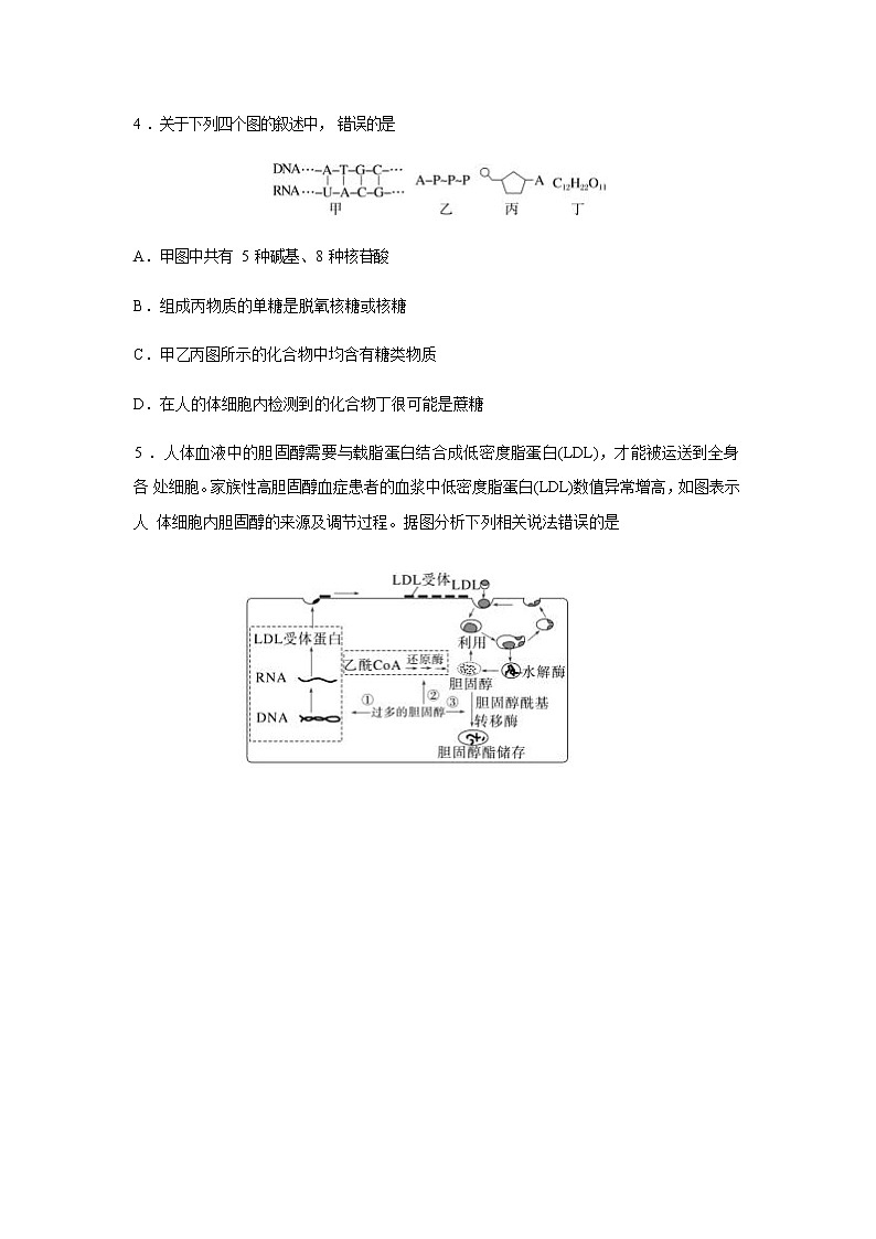 2021-2022学年山东师范大学附属中学高二下学期期中学业水平测试生物试题含答案第2页