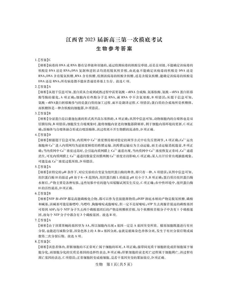 23届高三7月联考·生物答案第1页