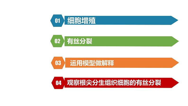 人教版高中生物必修一课件6.1 细胞的增殖02