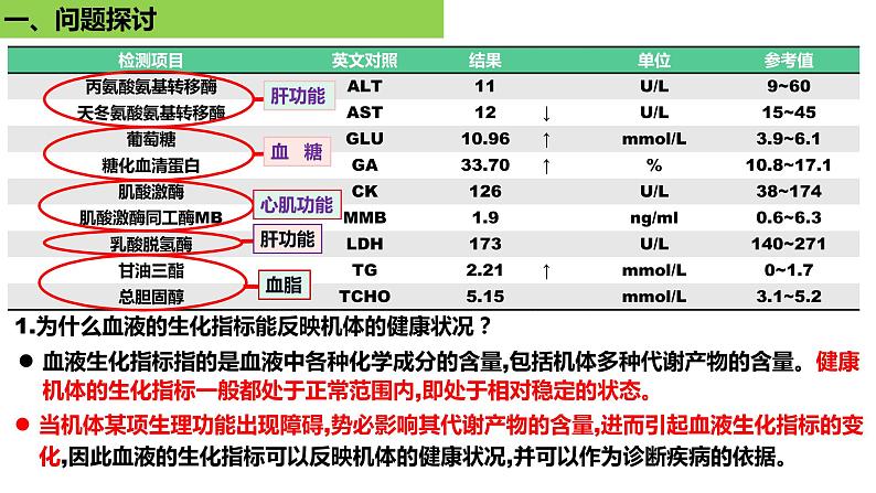 2023届高三一轮复习生物：1.2内环境的稳态课件第5页