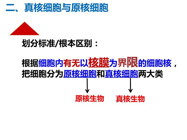 2023届高三一轮复习生物：1.2细胞的多样性和统一性课件08