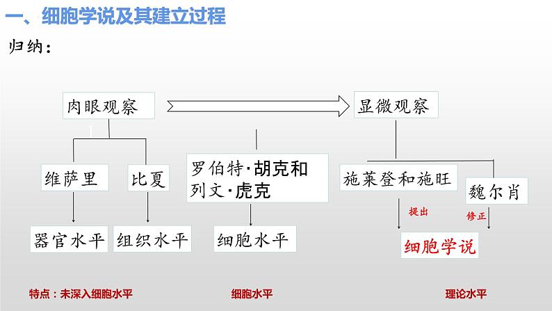 2023届高三一轮复习生物：必修一《走近细胞与组成细胞的分子》复习课件02