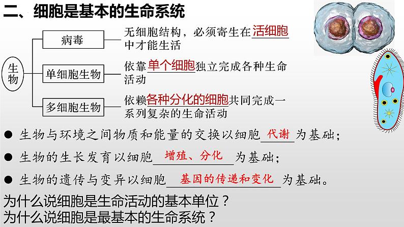 2023届高三一轮复习生物：必修一《走近细胞与组成细胞的分子》复习课件03