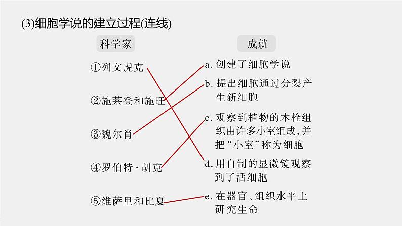 2023届高三一轮复习生物：第一单元 第1课时　走近细胞课件第6页