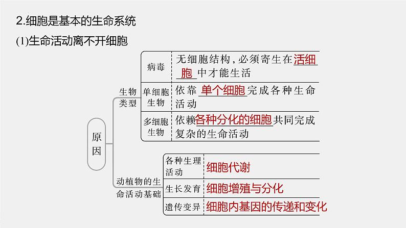 2023届高三一轮复习生物：第一单元 第1课时　走近细胞课件第8页