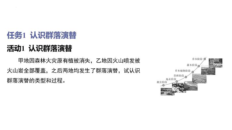 2023届高三一轮复习生物：群落的演替课件07