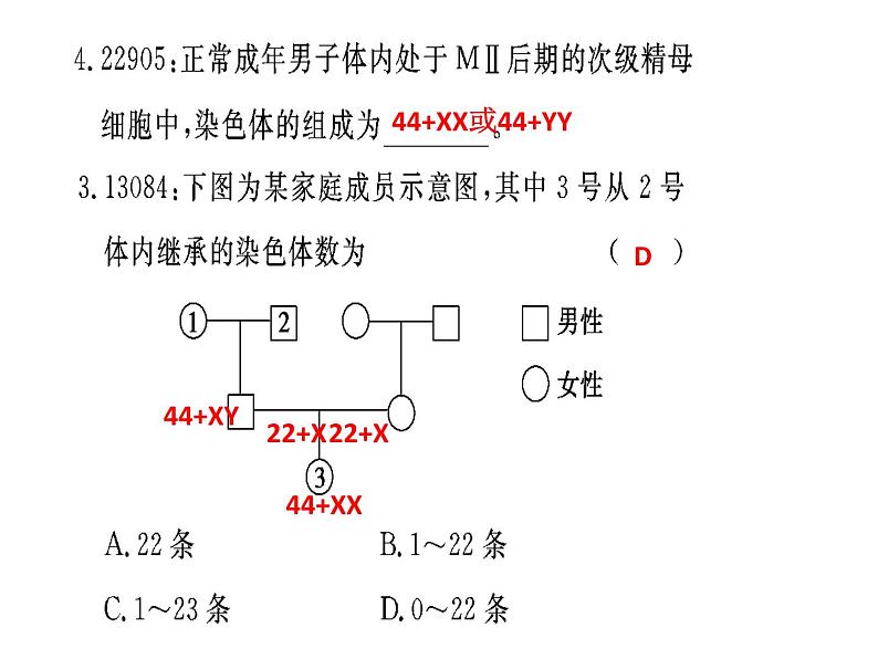 2023届高三一轮复习生物：染色体组型及伴性遗传课件第6页