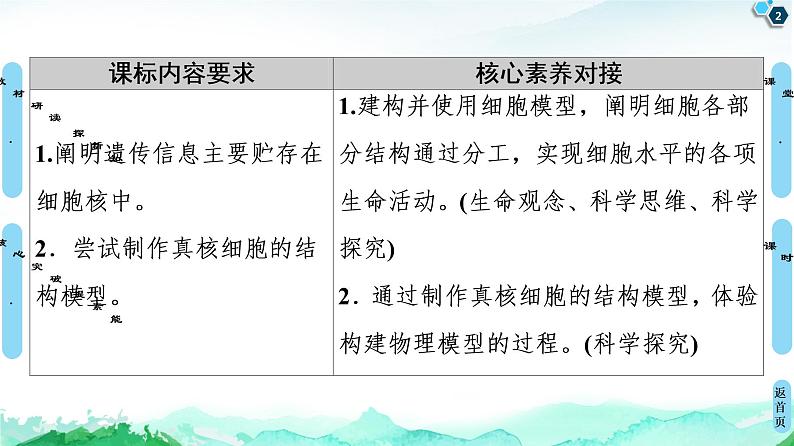 高中生物新浙科版必修1    第2章　第4节　细胞核是细胞生命活动的控制中心 课件第2页