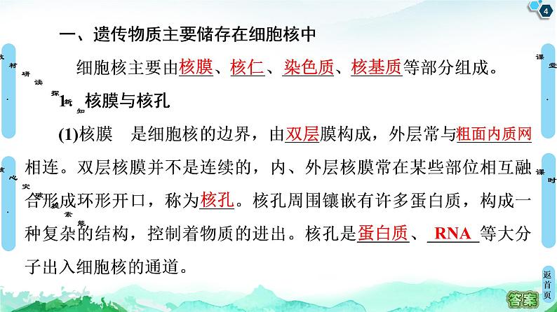 高中生物新浙科版必修1    第2章　第4节　细胞核是细胞生命活动的控制中心 课件第4页