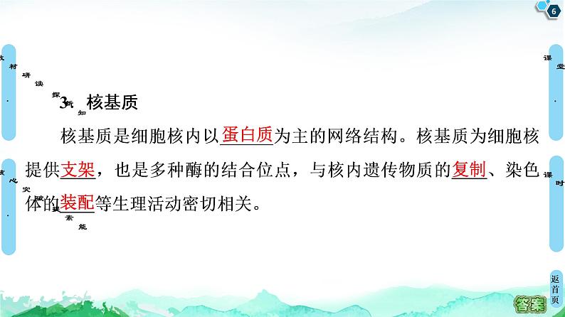 高中生物新浙科版必修1    第2章　第4节　细胞核是细胞生命活动的控制中心 课件第6页