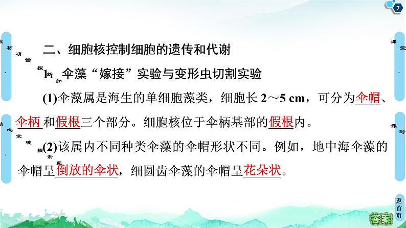 高中生物新浙科版必修1    第2章　第4节　细胞核是细胞生命活动的控制中心 课件第7页