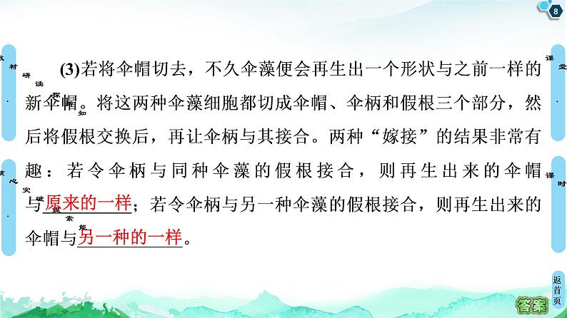 高中生物新浙科版必修1    第2章　第4节　细胞核是细胞生命活动的控制中心 课件第8页