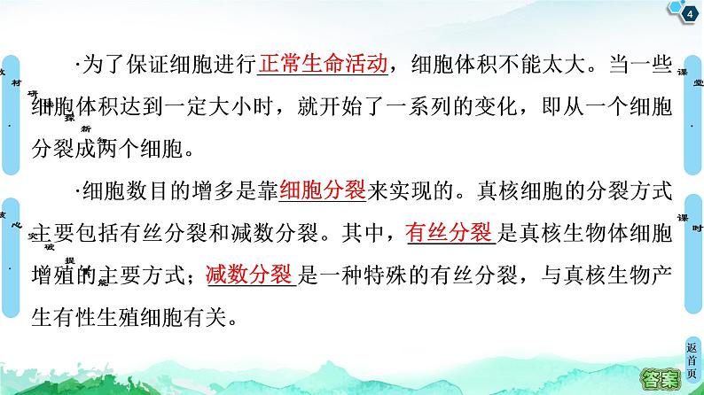 高中生物新浙科版必修1  第4章　第1节　细胞通过分裂增殖 课件（104张）04