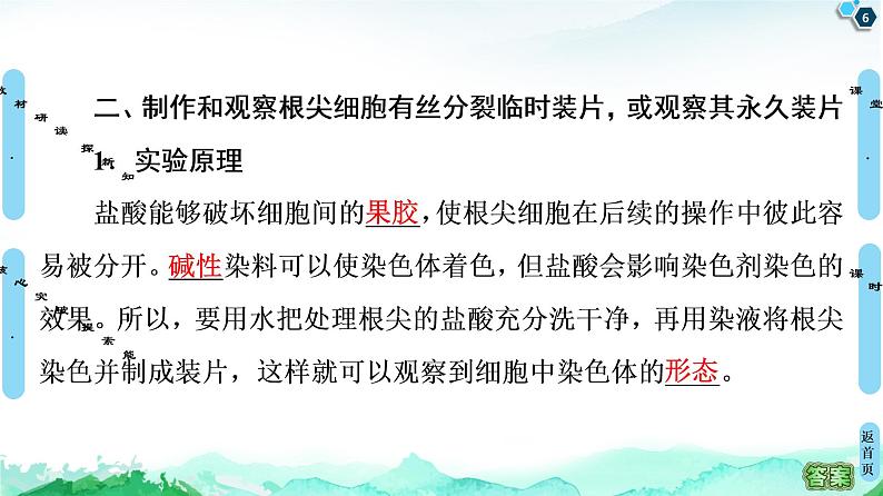 高中生物新浙科版必修1  第4章　第1节　细胞通过分裂增殖 课件（104张）06