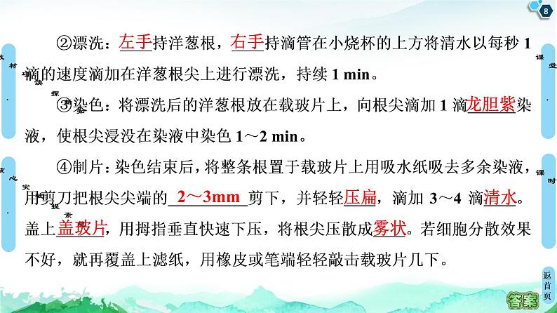 高中生物新浙科版必修1  第4章　第1节　细胞通过分裂增殖 课件（104张）08