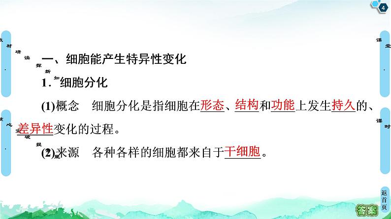 高中生物新浙科版必修1  第4章　第2节　细胞通过分化产生不同类型的细胞 课件（55张）04