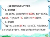 高中生物新浙科版必修1  第4章　第3节　细胞凋亡是编程性死亡 课件（53张）