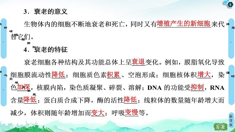 高中生物新浙科版必修1  第4章　第3节　细胞凋亡是编程性死亡 课件（53张）05