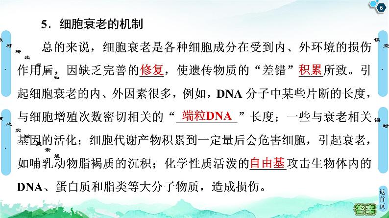 高中生物新浙科版必修1  第4章　第3节　细胞凋亡是编程性死亡 课件（53张）06