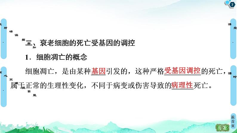 高中生物新浙科版必修1  第4章　第3节　细胞凋亡是编程性死亡 课件（53张）07