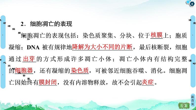 高中生物新浙科版必修1  第4章　第3节　细胞凋亡是编程性死亡 课件（53张）08