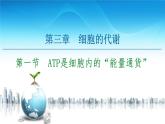 高中生物新浙科版必修1 第3章　第1節(jié)　ATP是細(xì)胞內(nèi)的“能量通貨” 課件（58張）