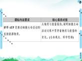 高中生物新浙科版必修1 第3章　第1節(jié)　ATP是細(xì)胞內(nèi)的“能量通貨” 課件（58張）