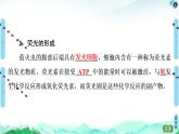 高中生物新浙科版必修1 第3章　第1節(jié)　ATP是細(xì)胞內(nèi)的“能量通貨” 課件（58張）